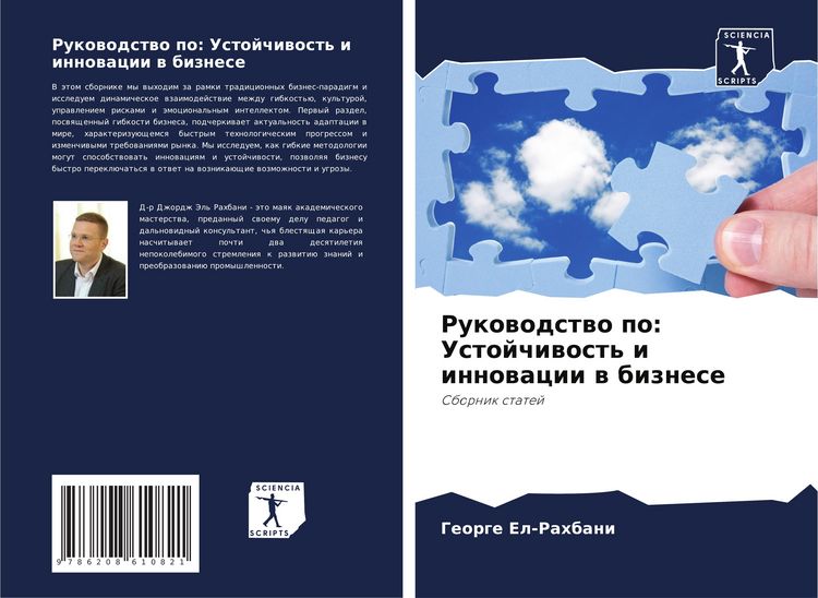 Produktbild: Rukowodstwo po: Ustojchiwost' i innowacii w biznese