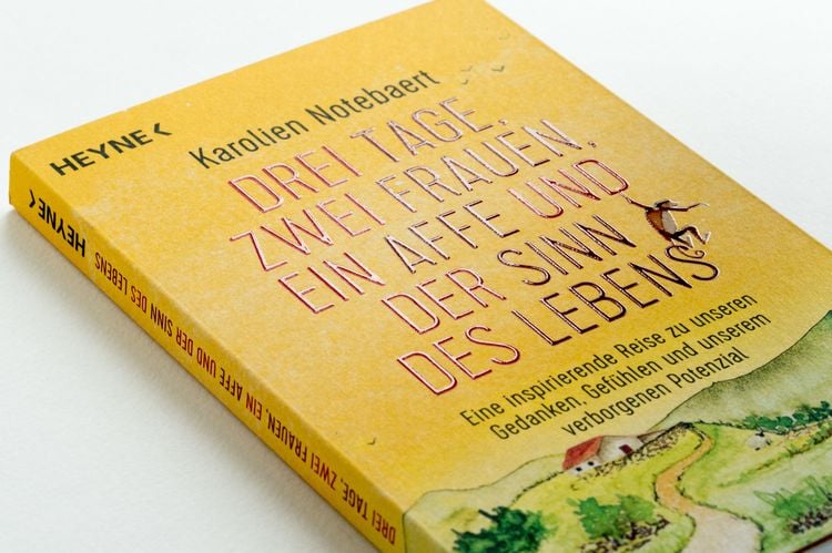 Produktbild: Drei Tage, zwei Frauen, ein Affe und der Sinn des Lebens