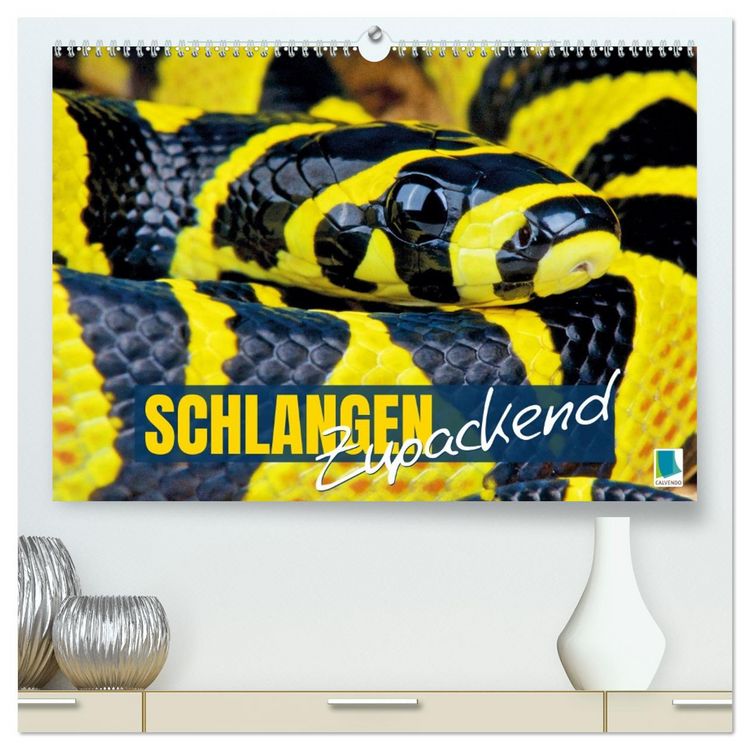 Produktbild: Schlangen: Zupackend (hochwertiger Premium Wandkalender 2026 DIN A2 quer), Kunstdruck in Hochglanz