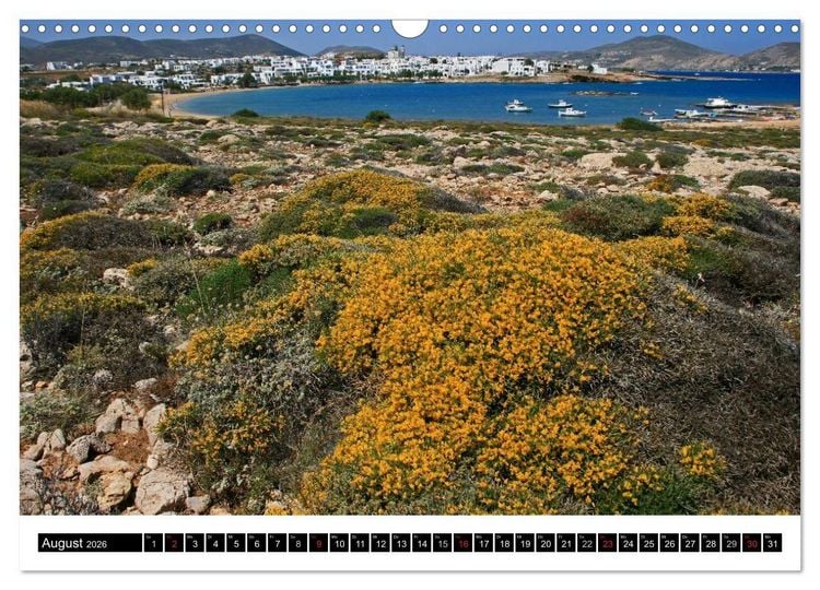 Produktbild: Inselh&uuml;pfen Kykladen Santorini - Naxos - Paros - Mykonos (Wandkalender 2026 DIN A3 quer), CALVENDO Monatskalender