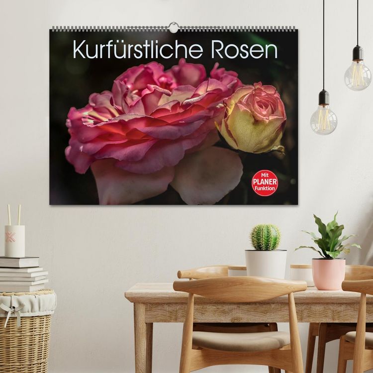 Produktbild: Kurf&uuml;rstliche Rosen Eltville am Rhein (Wandkalender 2026 DIN A2 quer), CALVENDO Monatskalender