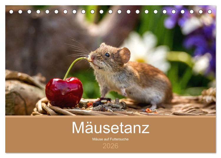 Produktbild: M&auml;usetanz (Tischkalender 2026 DIN A5 quer), CALVENDO Monatskalender