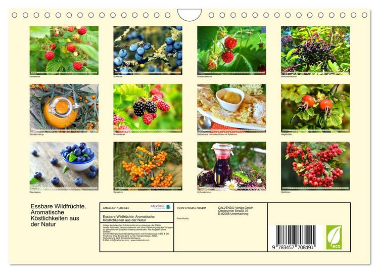 Produktbild: Essbare Wildfr&uuml;chte. Aromatische K&ouml;stlichkeiten aus der Natur (Wandkalender 2026 DIN A4 quer), CALVENDO Monatskalender