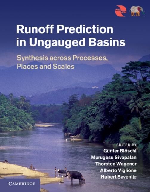 Produktbild: Runoff Prediction in Ungauged Basins