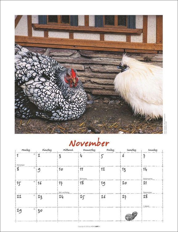 Produktbild: Der H&uuml;hnerkalender 2027