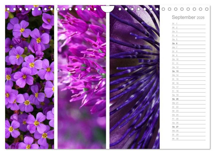 Produktbild: Nat&uuml;rlicher Dreiklang (Wandkalender 2026 DIN A4 quer), CALVENDO Monatskalender