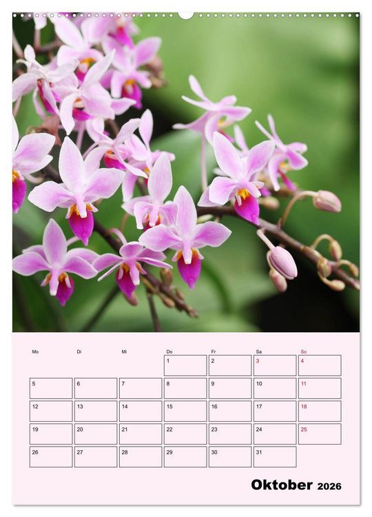 Produktbild: Orchideenliebe (hochwertiger Premium Wandkalender 2026 DIN A2 hoch), Kunstdruck in Hochglanz