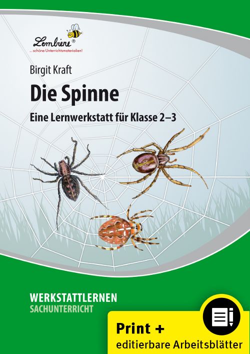 Produktbild: Die Spinne