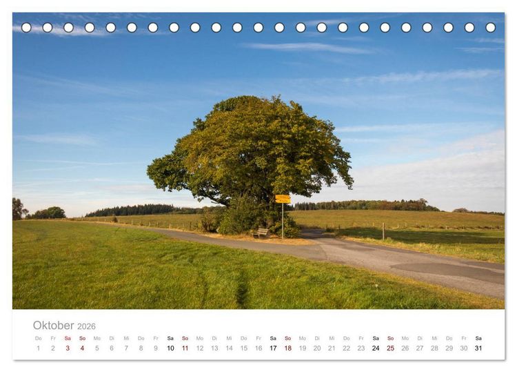 Produktbild: Wundersch&ouml;ne B&auml;ume im Sauerland (Tischkalender 2026 DIN A5 quer), CALVENDO Monatskalender