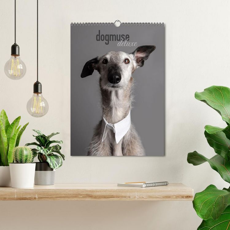 Produktbild: dogmuse deluxe (Wandkalender 2026 DIN A3 hoch), CALVENDO Monatskalender