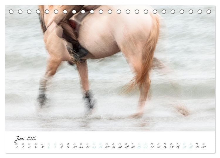 Produktbild: Pferde vom Wind verweht (Tischkalender 2026 DIN A5 quer), CALVENDO Monatskalender