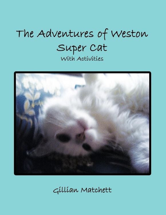 Produktbild: The Adventures of Weston Super Cat with Activities