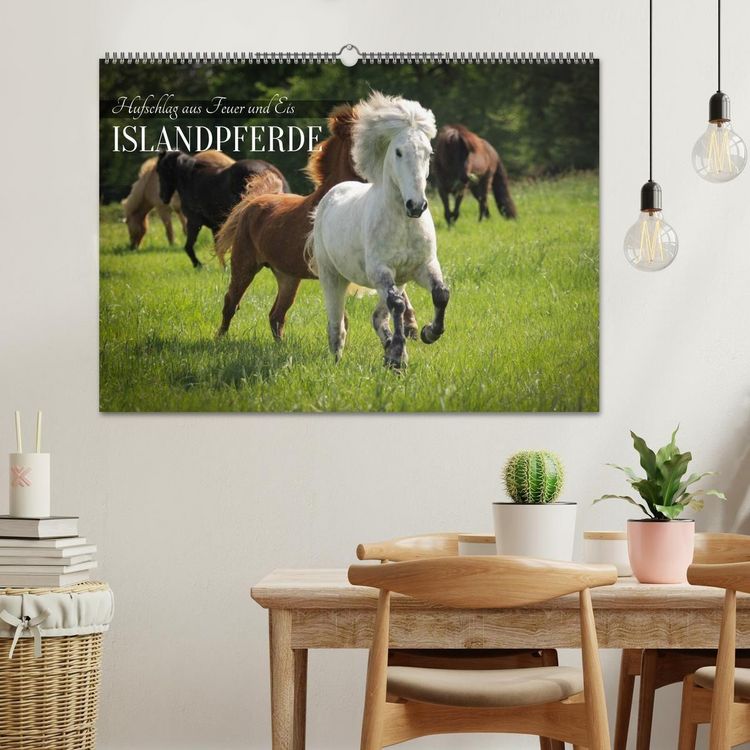 Produktbild: Islandpferde - Hufschlag aus Feuer und Eis (Wandkalender 2027 DIN A2 quer), CALVENDO Monatskalender