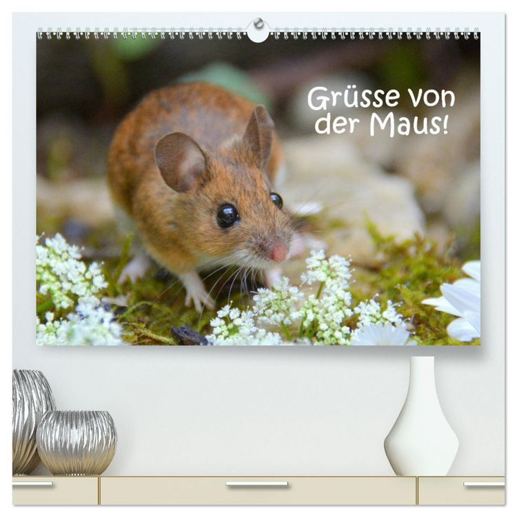 Produktbild: Gr&uuml;sse von der Maus! (hochwertiger Premium Wandkalender 2026 DIN A2 quer), Kunstdruck in Hochglanz