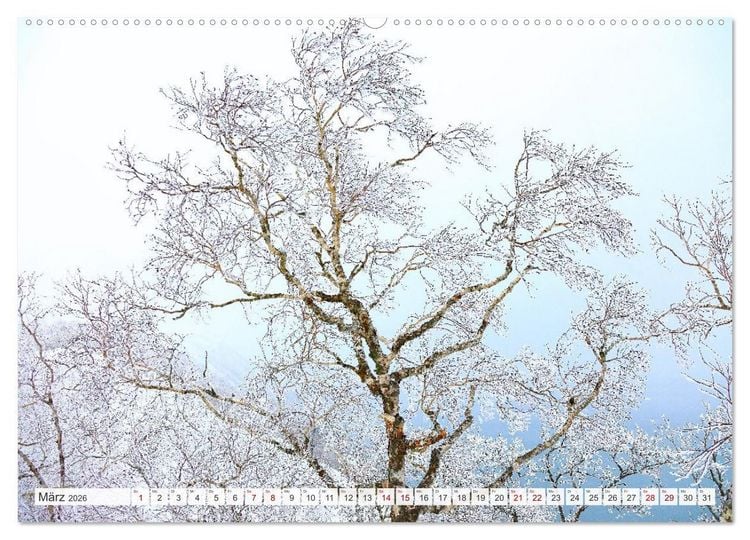Produktbild: Wildes Japan - Hokkaido im Winter (hochwertiger Premium Wandkalender 2026 DIN A2 quer), Kunstdruck in Hochglanz