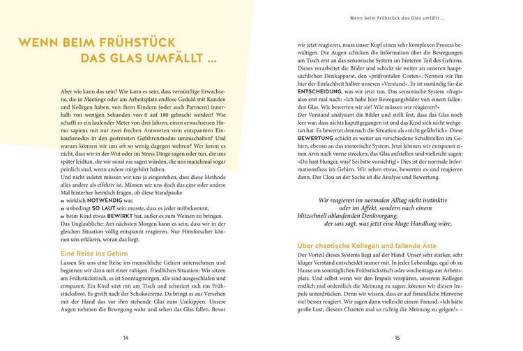 Produktbild: Erziehen ohne Schimpfen