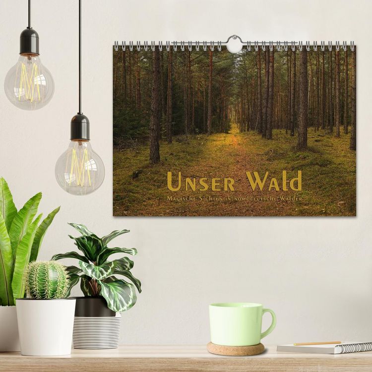 Produktbild: Unser Wald - Magische Sichten in norddeutsche W&auml;lder (Wandkalender 2026 DIN A4 quer), CALVENDO Monatskalender