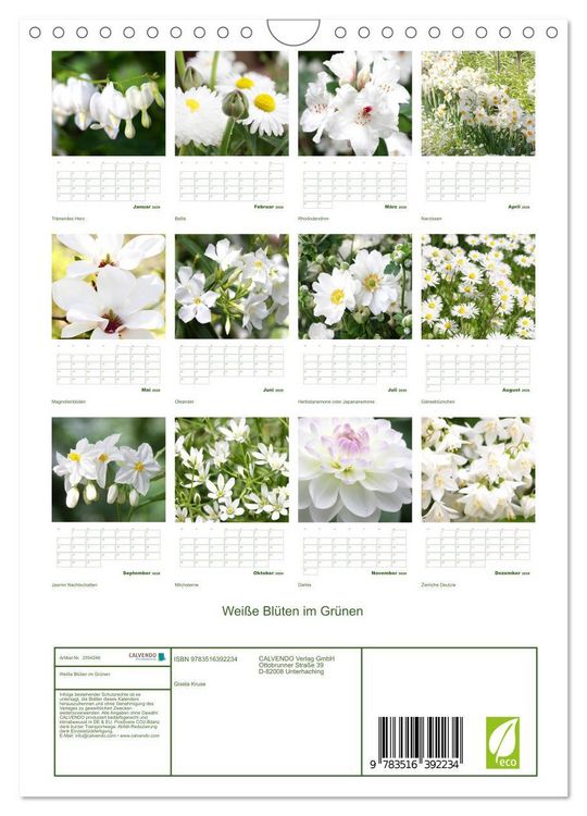 Produktbild: Wei&szlig;e Bl&uuml;ten im Gr&uuml;nen (Wandkalender 2026 DIN A4 hoch), CALVENDO Monatskalender