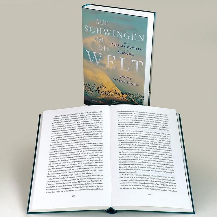 Produktbild: Auf Schwingen um die Welt