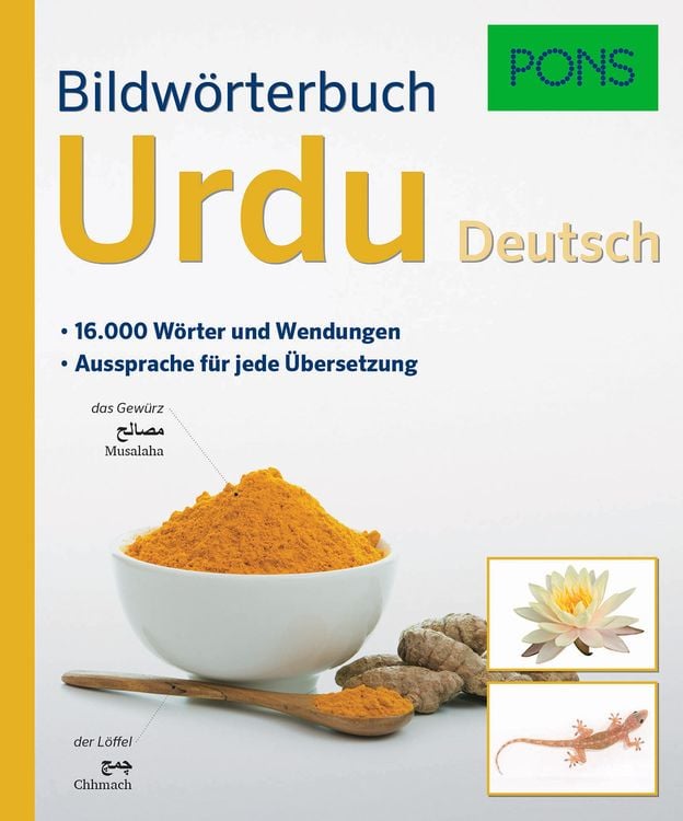 'PONS Bildwörterbuch Deutsch Als Fremdsprache' Von '' - Buch - '978-3 ...