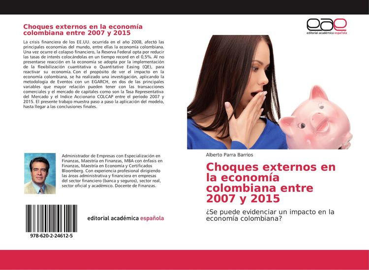Produktbild: Choques externos en la econom&iacute;a colombiana entre 2007 y 2015