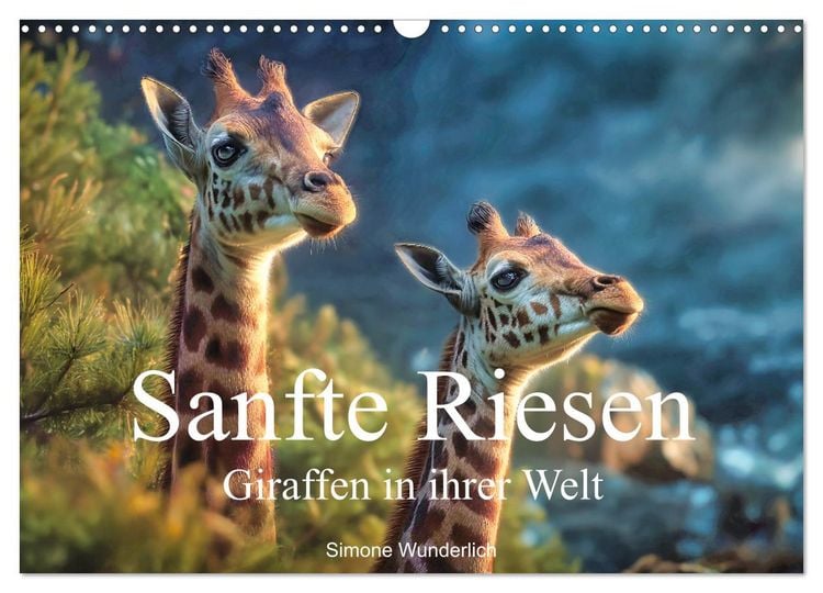 Produktbild: Sanfte Riesen - Giraffen in ihrer Welt (Wandkalender 2027 DIN A3 quer), CALVENDO Monatskalender