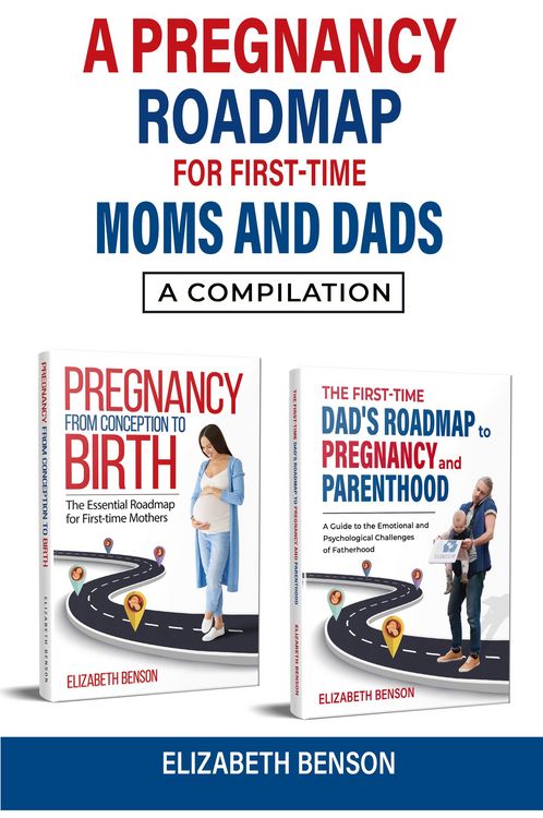 Produktbild: A Pregnancy Roadmap for First-Time Moms and Dads