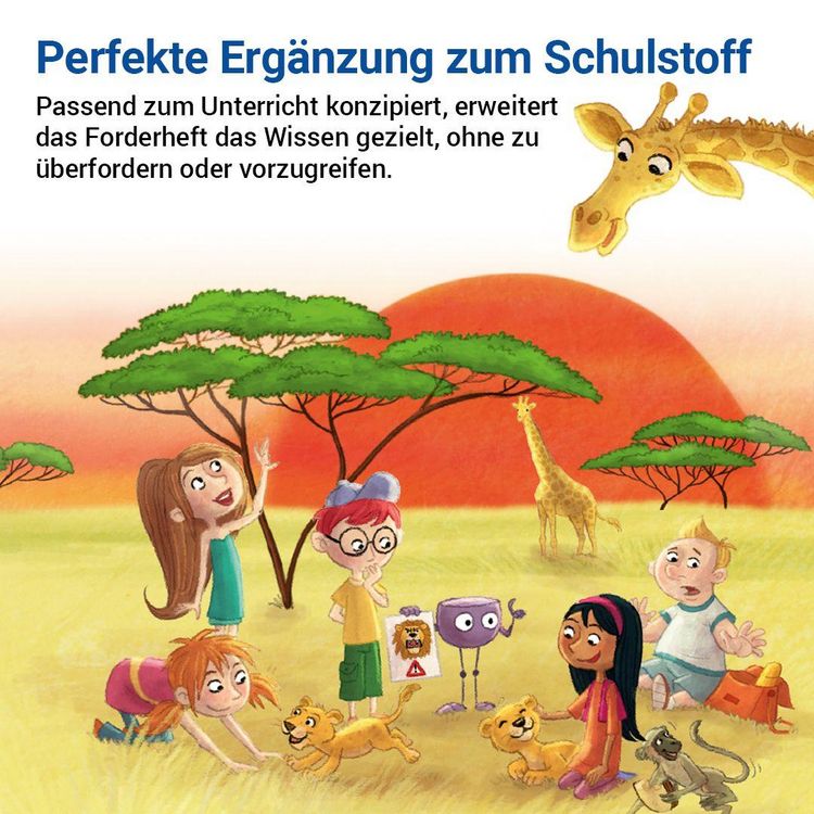 Produktbild: Das Forderheft Mathematik 4