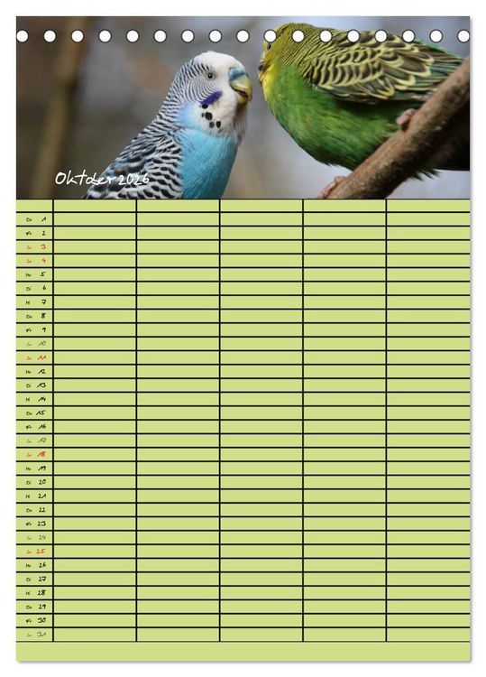 Produktbild: Der Wellensittich-Familienplaner (Tischkalender 2026 DIN A5 hoch), CALVENDO Monatskalender