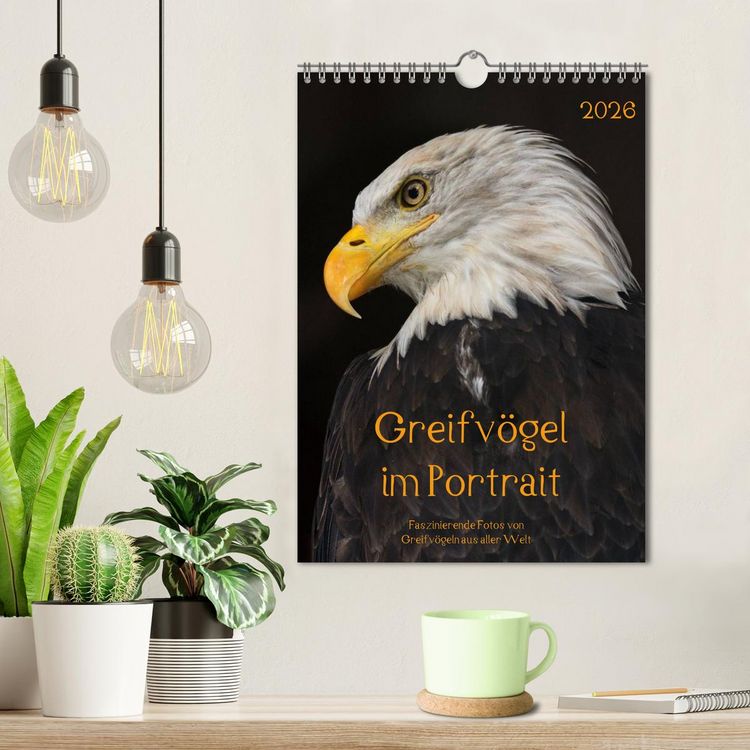 Produktbild: Greifv&ouml;gel im Portrait (Wandkalender 2026 DIN A4 hoch), CALVENDO Monatskalender