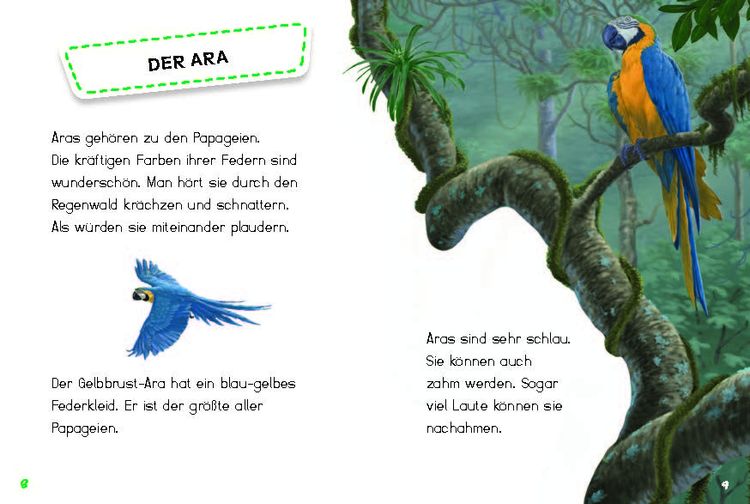 Produktbild: Bunter Regenwald
