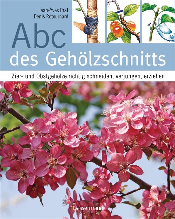 Produktbild: Abc des Geh&ouml;lzschnitts