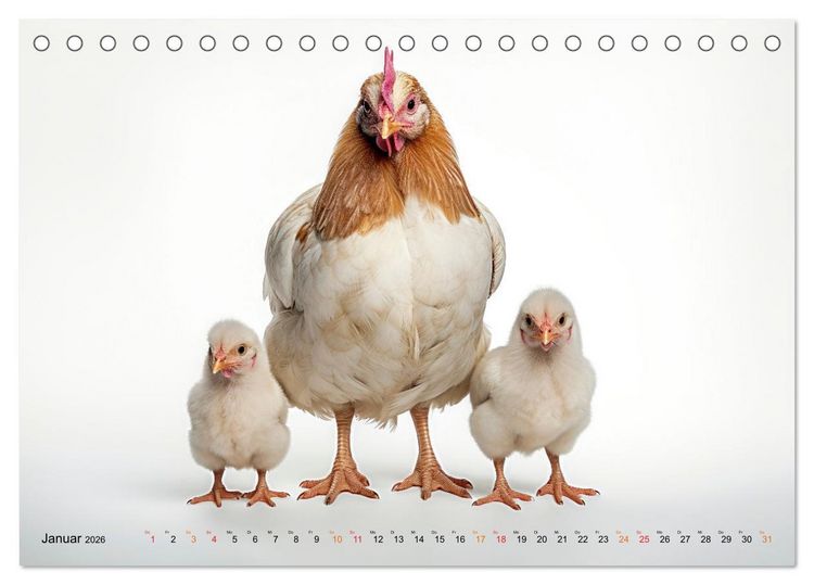 Produktbild: H&uuml;hner Alarm (Tischkalender 2026 DIN A5 quer), CALVENDO Monatskalender