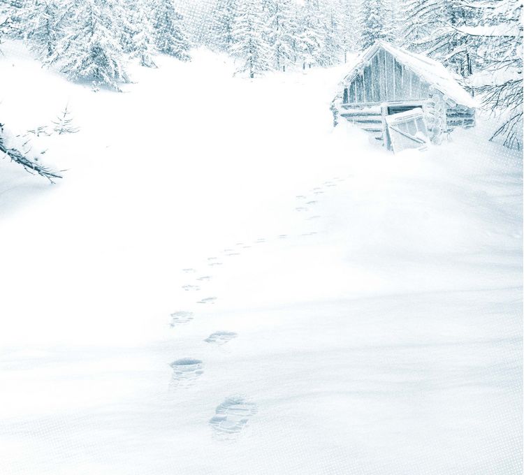 Produktbild: Kant und der sechste Winter