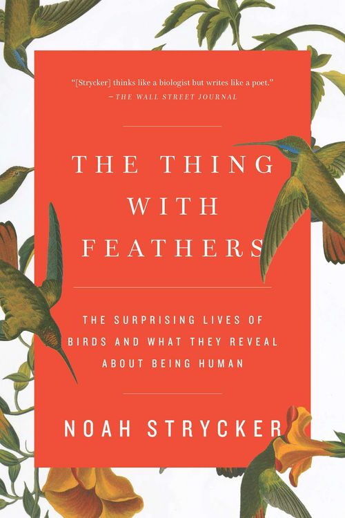 Produktbild: The Thing with Feathers