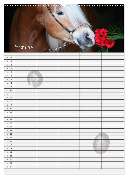 Produktbild: Haflinger Pferde - Stall- und Familienplaner 2026 (hochwertiger Premium Wandkalender 2026 DIN A2 hoch), Kunstdruck in Hochglanz