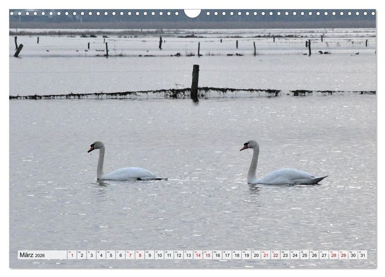 Produktbild: Hochwasser als Teil der Umwelt (Wandkalender 2026 DIN A3 quer), CALVENDO Monatskalender