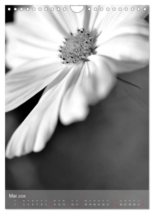 Produktbild: Monochrome Bl&uuml;ten - In Schwarz-Wei&szlig; Bildern durch das Jahr (Wandkalender 2026 DIN A4 hoch), CALVENDO Monatskalender