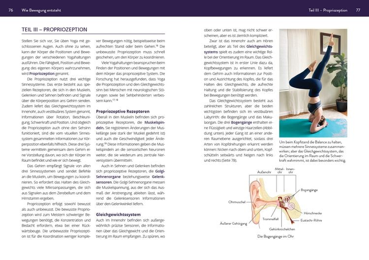 Produktbild: Die Neurowissenschaft hinter Yoga und Meditation