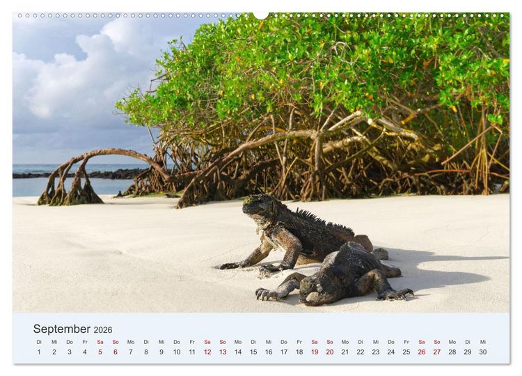 Produktbild: Entdecke Galapagos (Wandkalender 2026 DIN A2 quer), CALVENDO Monatskalender
