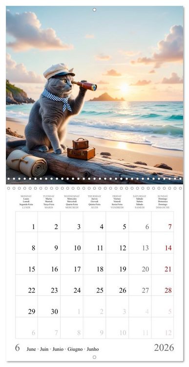Produktbild: A British Shorthair's Escapes (Wall Calendar 2026 12 &times; 12 Inch) CALVENDO 12 Month Wall Calendar