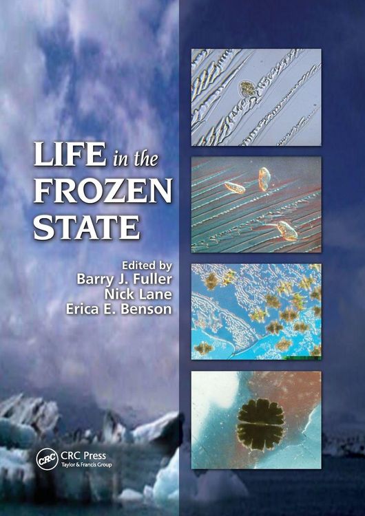 Produktbild: Life in the Frozen State