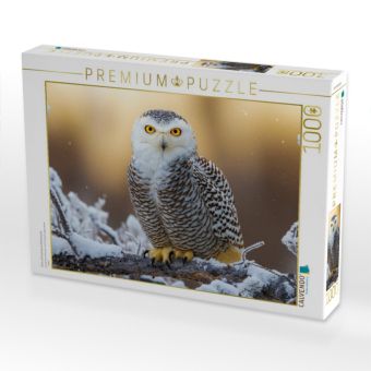 Produktbild: CALVENDO Puzzle Eine aufmerksame Schneeeule | 1000 Teile Lege-Gr&ouml;&szlig;e 64x48cm Foto-Puzzle f&uuml;r gl&uuml;ckliche Stunden