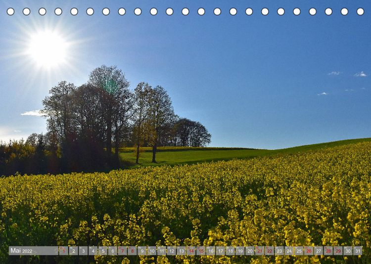 Produktbild: Bezaubernde Momente vor den Toren Moosburgs (Tischkalender 2022 DIN A5 quer)
