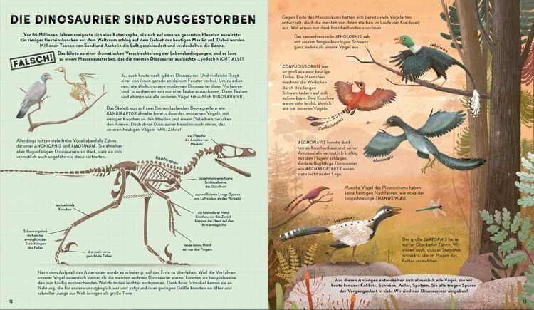 Produktbild: Alles, was wir &uuml;ber Dinosaurier wissen, ist falsch!