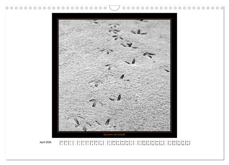 Produktbild: Wangerooge in Fine Art (Wandkalender 2026 DIN A3 quer), CALVENDO Monatskalender