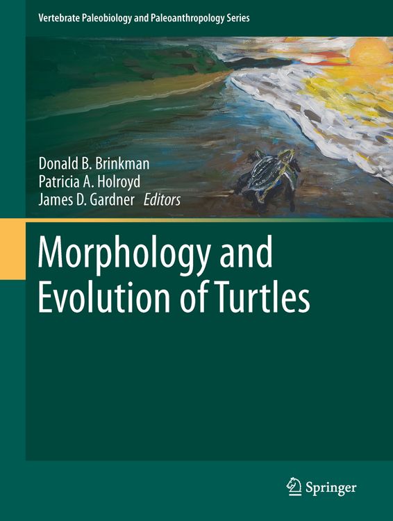 Produktbild: Morphology and Evolution of Turtles