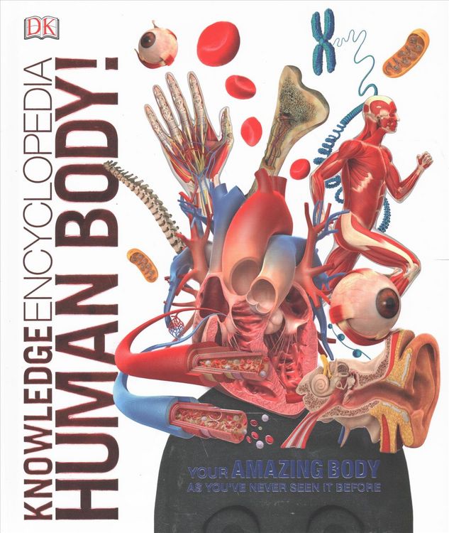 Produktbild: Knowledge Encyclopedia Human Body!