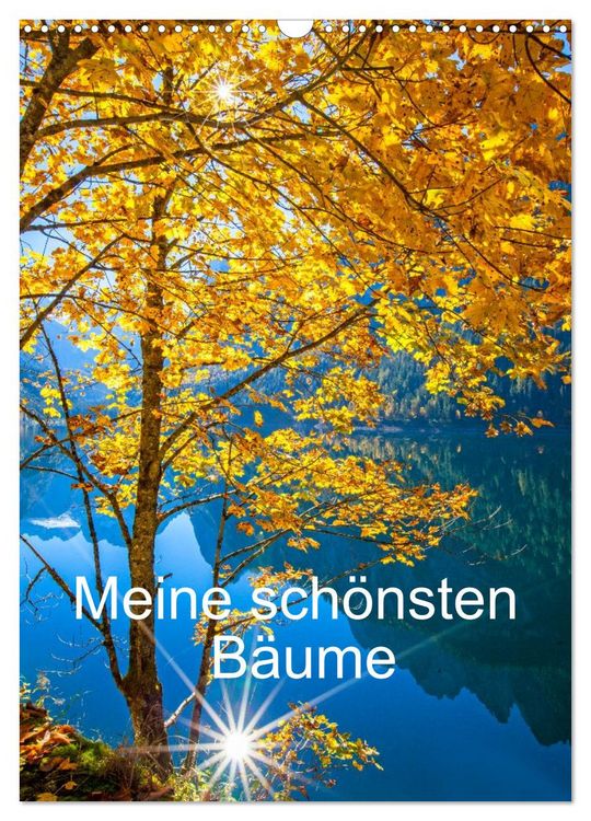 Produktbild: Meine sch&ouml;nsten B&auml;ume (Wandkalender 2027 DIN A3 hoch), CALVENDO Monatskalender