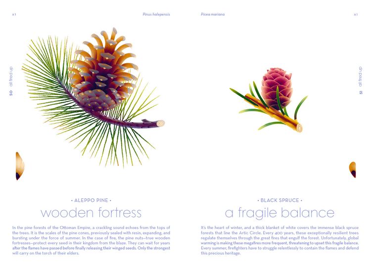 Produktbild: Seeds
